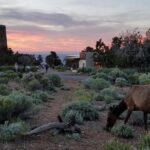 Custom Grand Canyon Day Trip - The Sum Up