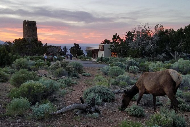 Custom Grand Canyon Day Trip - The Sum Up