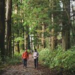 Custom Private Tour in Hakone with a Certified Local Guide - Final Thoughts: Is This Tour Right for You?