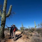 Custom Tucson Day Tour from Phoenix - Who Should Consider This Tour?