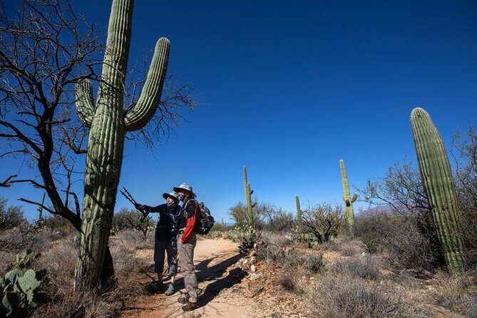 Custom Tucson Day Tour from Phoenix - Who Should Consider This Tour?