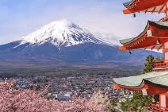 Customizable Private Mt. Fuji Tour with Van - Why This Tour Offers Good Value