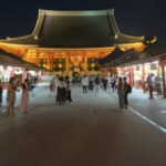 Customizable Private Tokyo Trip with an English Speaking Driver - Who Will Love This Experience?