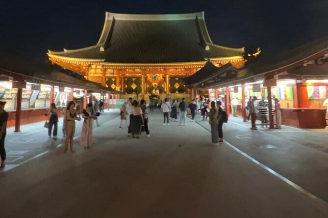 Customizable Private Tokyo Trip with an English Speaking Driver - Who Will Love This Experience?
