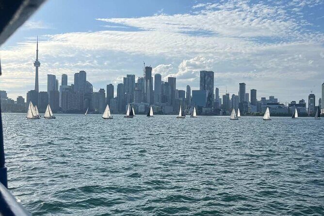 Customizable Walking Tour of Toronto's Hidden Gems - Authentic Experiences and Authentic Stories