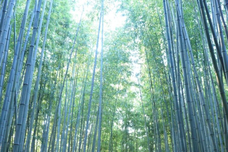 customized private Busan tour with licensed agency and guide - The Sum Up