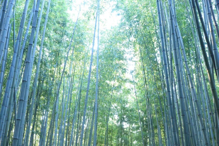 customized private Busan tour with licensed agency and guide - The Sum Up