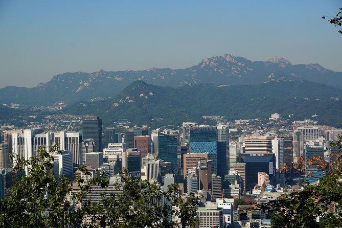 Customized Private Seoul tour: Palace, Market etc(Airport Option) - Who Is This Tour Best For?