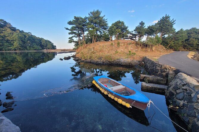 Customized private tour in Jeju island - South Jeju: Waterfalls, Rocks, and Coastal Beauty