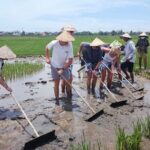 Cycling, Buffalo Ride and Basket Boat Tour in Hoi An - Who Would Love This Tour?