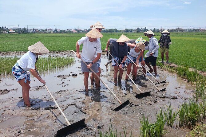 Cycling, Buffalo Ride and Basket Boat Tour in Hoi An - Who Would Love This Tour?