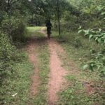 Cycling in rural Kanchanaburi area - Why This Tour Offers Great Value