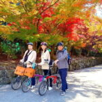 Cycling Tour at Uji's Matcha Green Tea Fields and Heritage - Final Thoughts