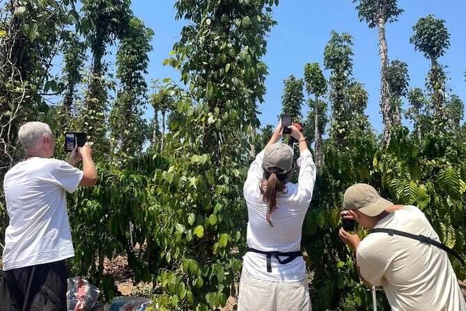 Da Lat: 3 Waterfalls Tour (Datanla - Elephant - Pongour) - Coffee and Countryside: Sipping and Sightseeing