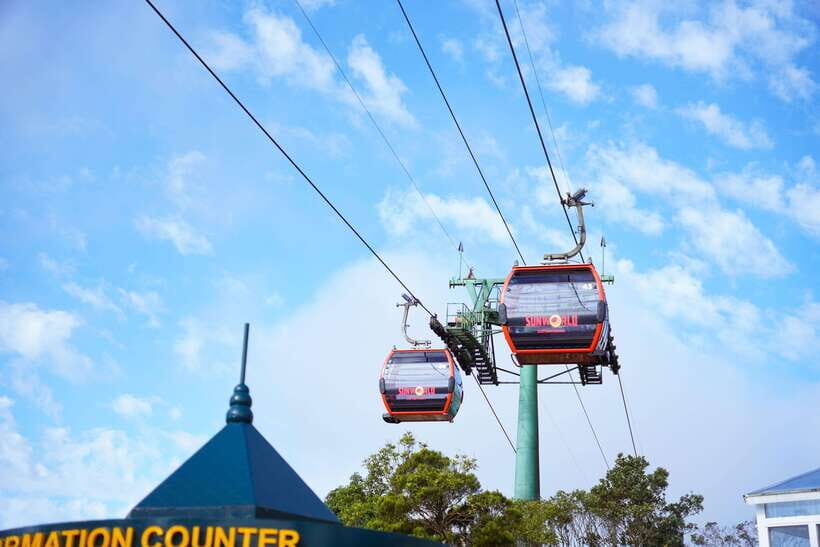 Da Nang: Ba Na Hills Tour with Guide and Transfer - Detailed Review of the Da Nang: Ba Na Hills Tour