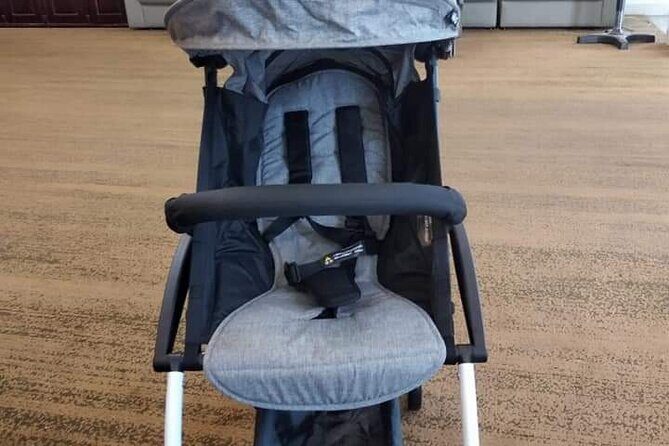 Da Nang Baby Stroller/Safety Car Seating or Wheel Chair Rental - The Sum Up