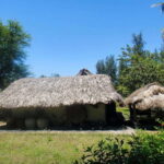 Da Nang: Full-day My Lai Massacre Memory Tour - Who Should Consider This Tour?