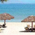 Da Nang Shore Excursions from Chan May Port - A Deep Dive into the Da Nang Shore Excursion