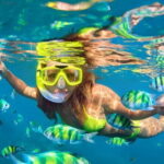 Da Nang: Son Tra Peninsula Exploration - Snorkeling, Fishing - The Sum Up