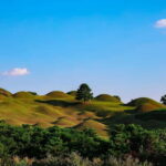 Daegu: Private Taxi Tour Car Charter - Who Will Love This Tour?