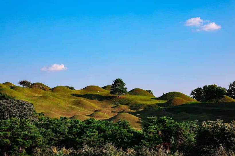 Daegu: Private Taxi Tour Car Charter - Who Will Love This Tour?