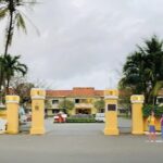 Daily Bus: Da Nang City/Airport and Hoi An City - Who Should Book This Shuttle?