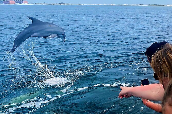 Daily Dolphin Cruise + Sightseeing Tour on Pensacola Beach - Frequently Asked Questions