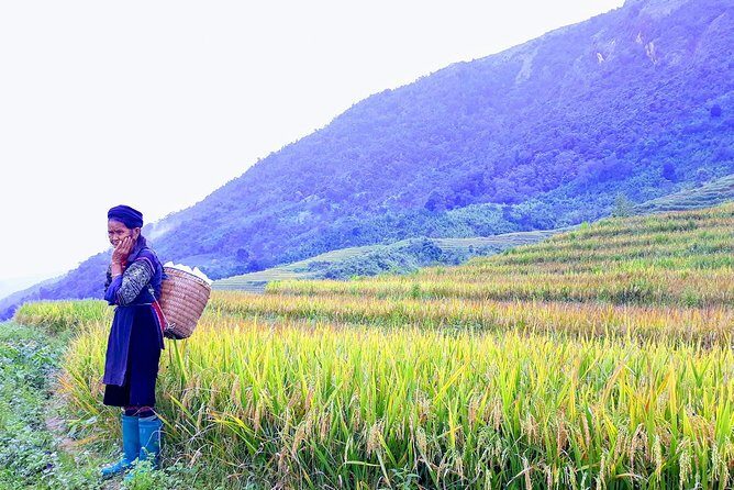 Daily Tour: Sapa Trekking in Muong Hoa valley, Bamboo forest - Who Is This Tour Best For?
