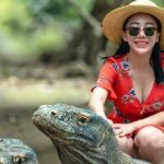 Daily Trip Highlight Komodo Archipelago by Speed Boat - In-Depth Look at the Komodo Archipelago Speedboat Tour