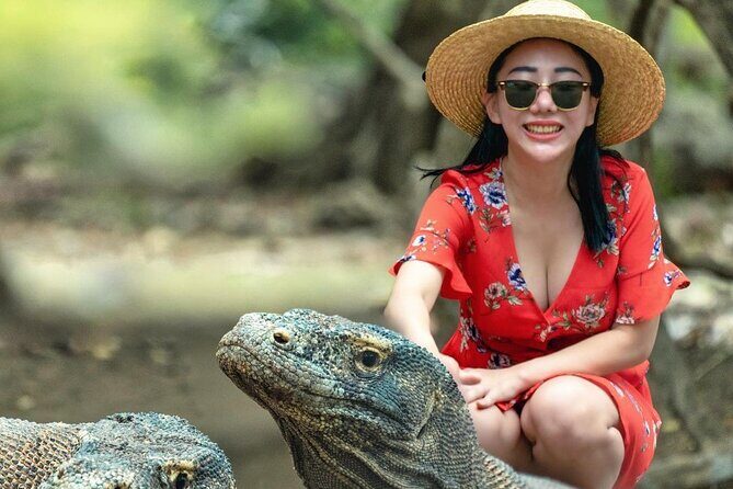 Daily Trip Highlight Komodo Archipelago by Speed Boat - In-Depth Look at the Komodo Archipelago Speedboat Tour