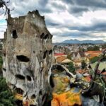 Dalat City Highlights Tour in 1 day - An In-Depth Look at the Da Lat Highlights Tour