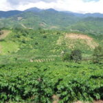 Dalat Countryside Motorbike Tour - Full day Easy Rider Tour - Who This Tour Is Best For