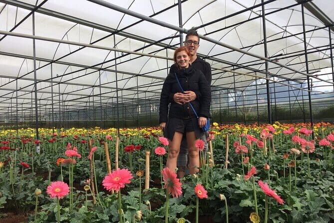 Dalat Discovery Elephant Falls , Pongour Falls & Countryside Tour - Who Will Love This Tour?