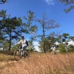 Dalat mountain biking tour - A Closer Look at the Dalat Mountain Biking Experience