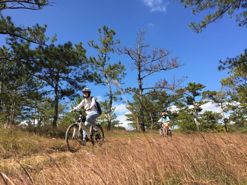 Dalat mountain biking tour - A Closer Look at the Dalat Mountain Biking Experience