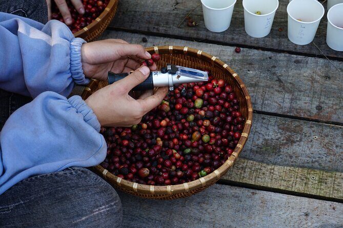 Dalat's countryside|Coffee Plantations Tour beyond Elephant falls - What to Expect During the Tour