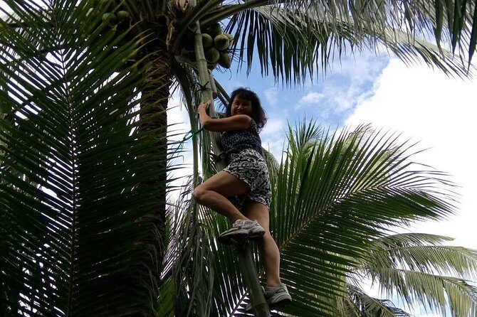 Damnoen Saduak Floating Market Small Group Tour - FAQs