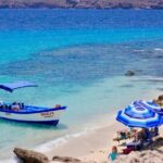 Danzante Island and Snorkel Tour from Villas del Palmar Hotel - Final Thoughts: Why Choose This Tour?