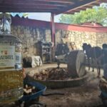 Danzantes Premium Mezcal, Hierve el Agua, Textiles & Lunch - FAQ