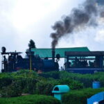 Darjeeling Full-Day Sightseeing Tour with Guide & Transports - Who Is This Tour Best For?