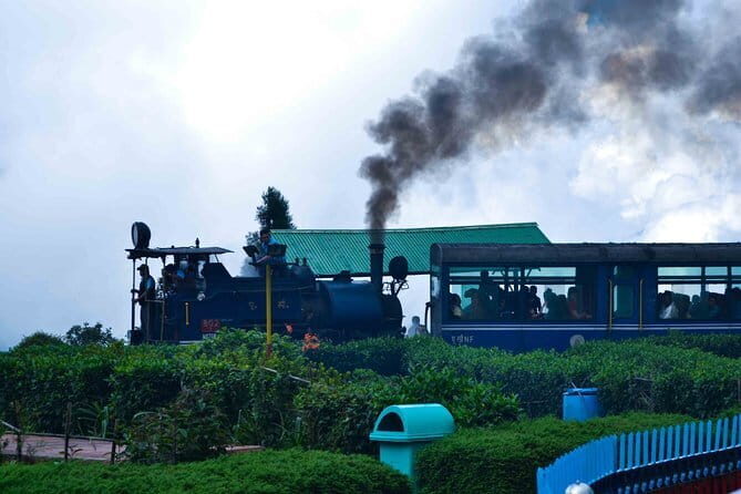 Darjeeling Full-Day Sightseeing Tour with Guide & Transports - Who Is This Tour Best For?