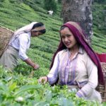 Darjeeling & Gangtok tour - FAQ