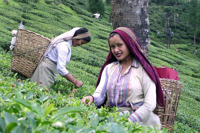 Darjeeling & Gangtok tour - FAQ