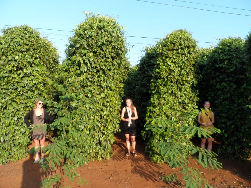 Datanla, Pongour, Elephant: 3 stunning and majestic falls