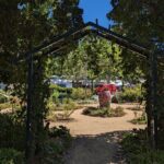 Davis Scavenger Hunt Walking Tour and Game - Who Should Consider This Tour?