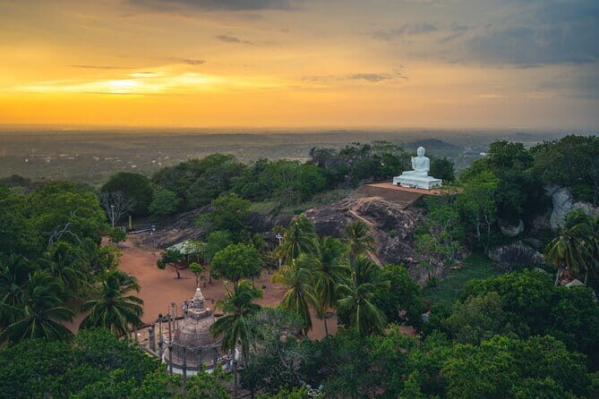 Day Excursions to UNESCO City ANURADHAPURA from Negombo - Who Will Benefit Most from This Tour?