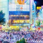 Day Private City Tour of Tokyo with English speaking driver - FAQ