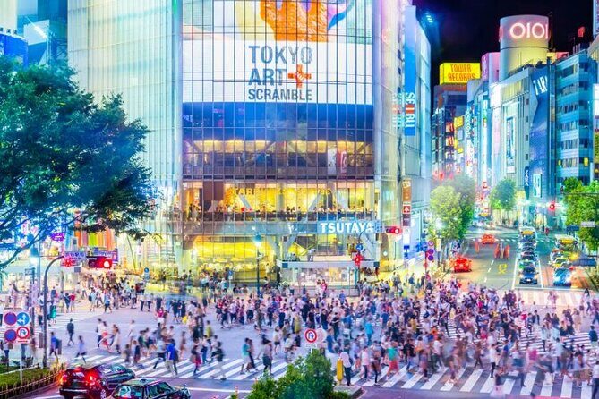 Day Private City Tour of Tokyo with English speaking driver - FAQ