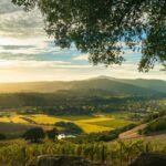 Day Private Russian River Valley Wine Tour from San Francisco - Why It’s a Great Choice