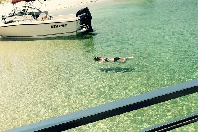 Day Snorkeling Tour in Orange Beach - Practical Details & Tips